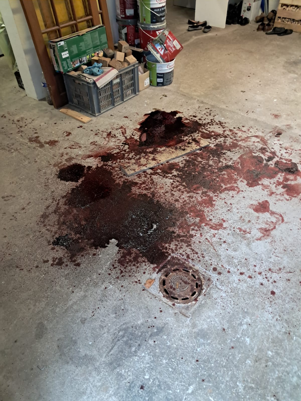 Nettoyage et désinfection après décès à Vitry-sur-Seine : Quels tests microbiologiques sont réalisés avant réintégration ? WhatsApp Image 2025 01 21 A 10.33.08 02d8f676